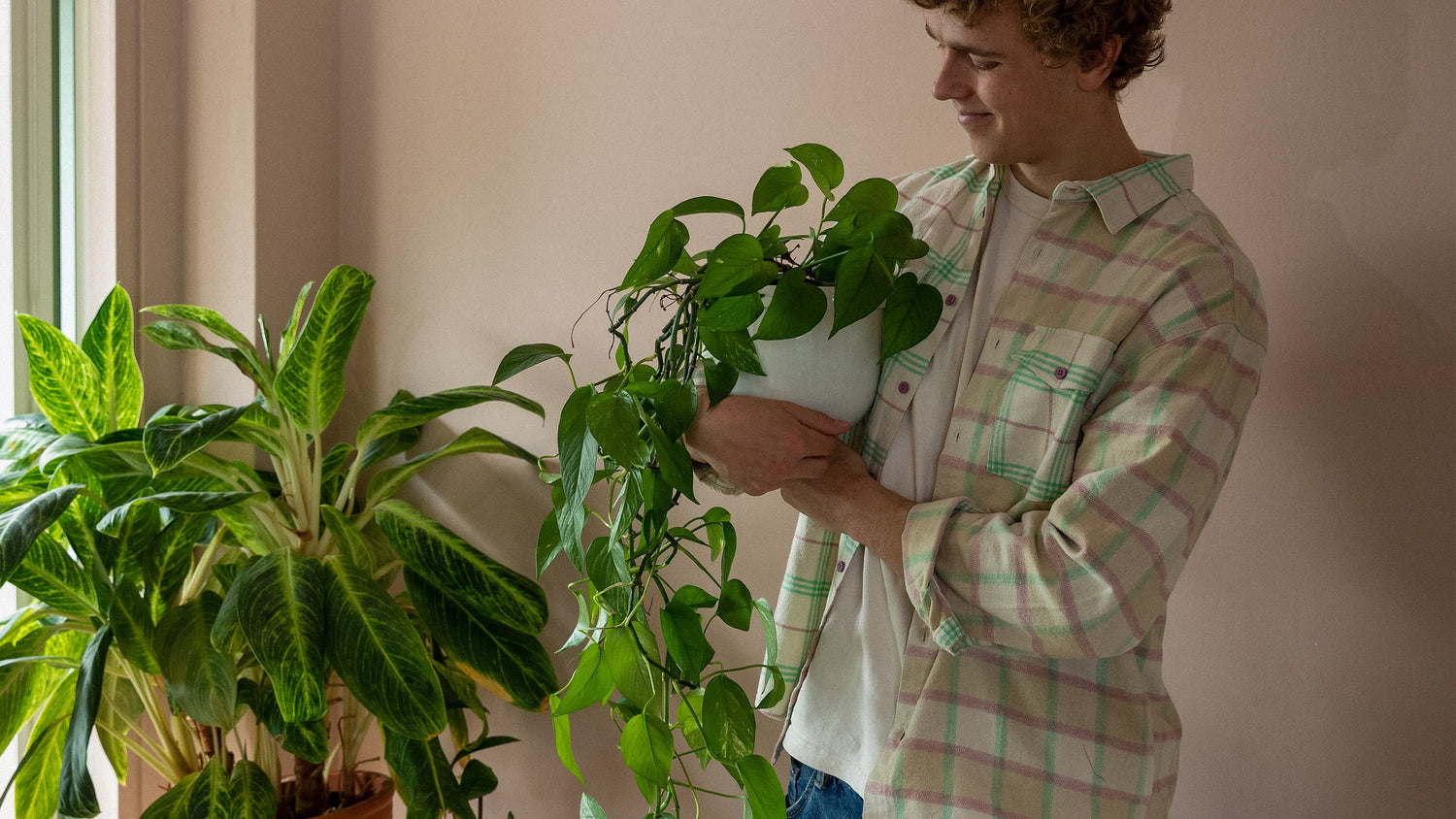 Pots - PENTIK