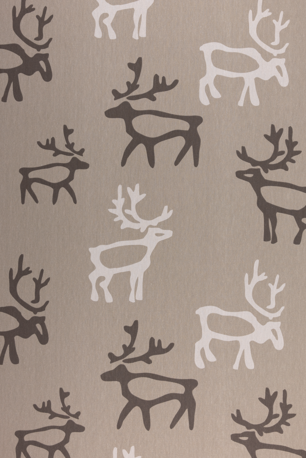 Saaga Cotton Fabric