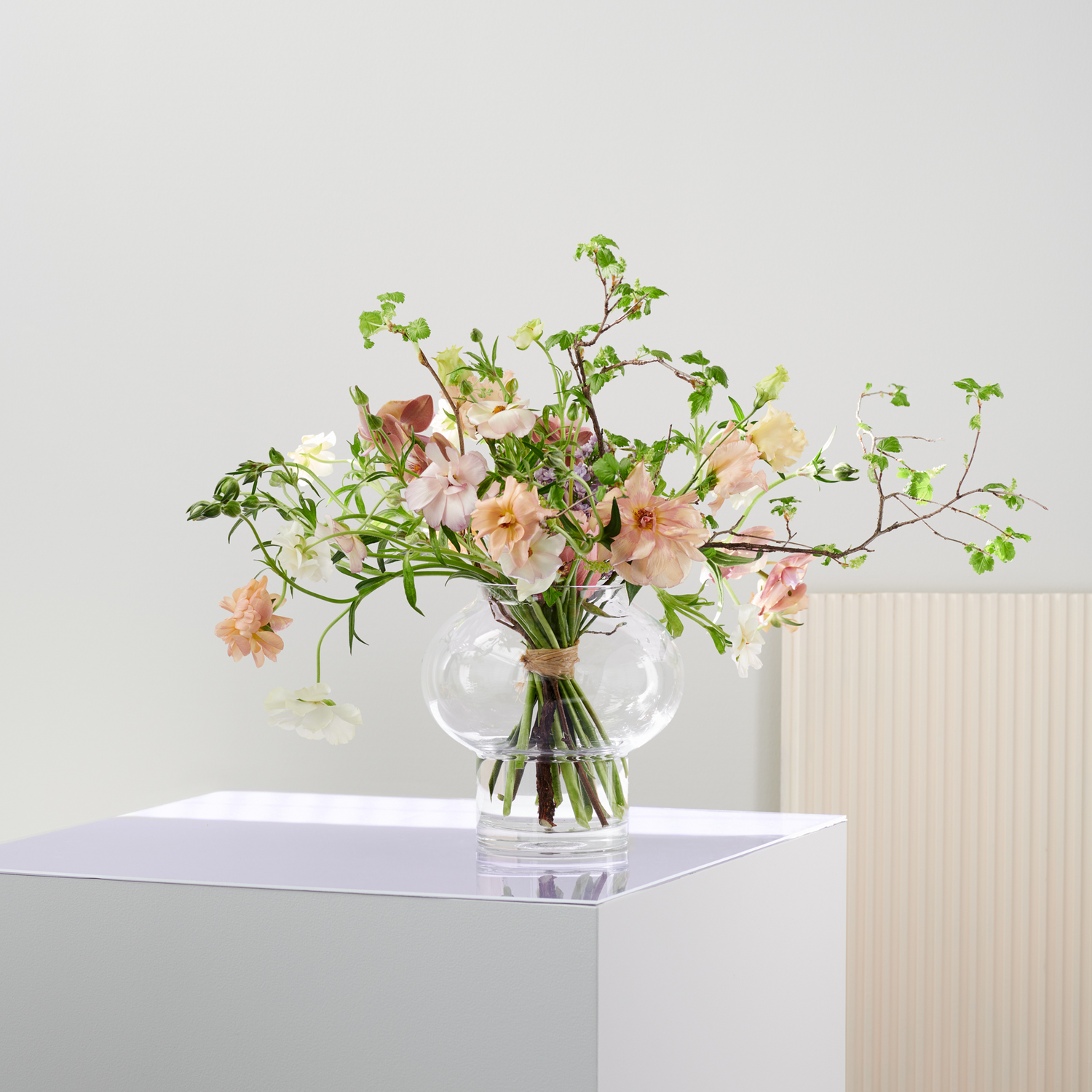 Tyyni Lasimaljakko